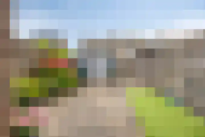 Bestevaerstraat 20 Assendelft thumbnail 9