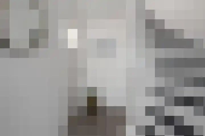 Bestevaerstraat 59 Assendelft thumbnail 15