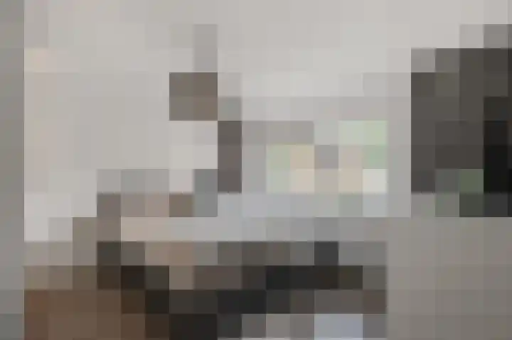 Bestevaerstraat 59 Assendelft thumbnail 20