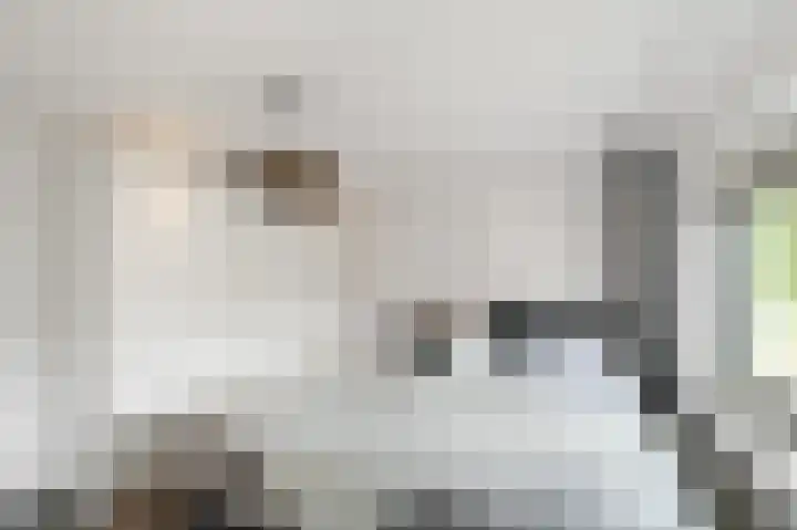 Bestevaerstraat 59 Assendelft thumbnail 21
