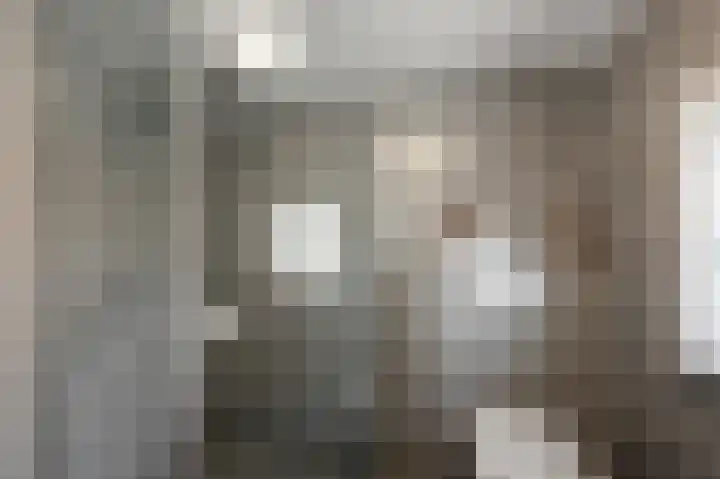 Bestevaerstraat 59 Assendelft thumbnail 25