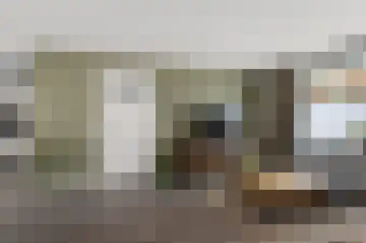 Bestevaerstraat 59 Assendelft thumbnail 5