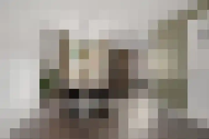 Bestevaerstraat 59 Assendelft thumbnail 6