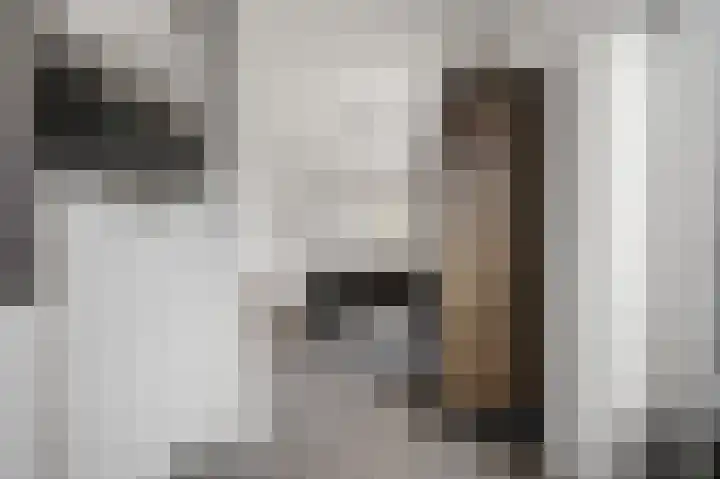 Bestevaerstraat 59 Assendelft thumbnail 8