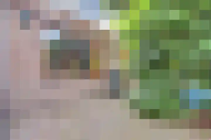 Bestevaerweg 40 Katwijk thumbnail 31
