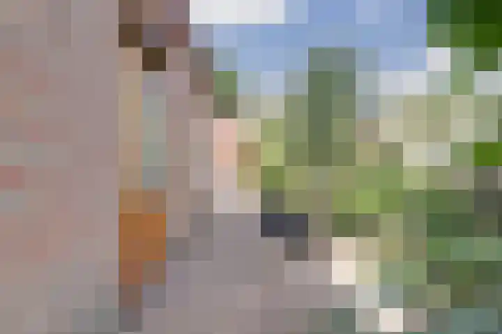 Bestevaerweg 40 Katwijk thumbnail 32