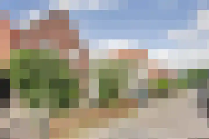 Bestevaerweg 40 Katwijk thumbnail 38