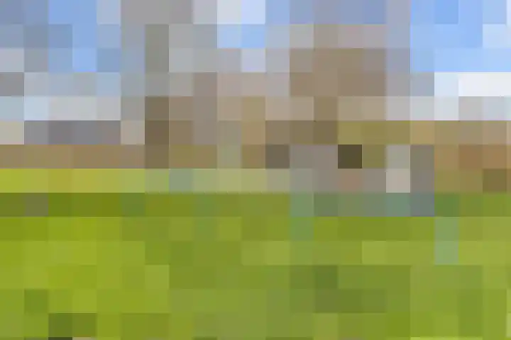 Beststraat 10 Arnhem thumbnail 33