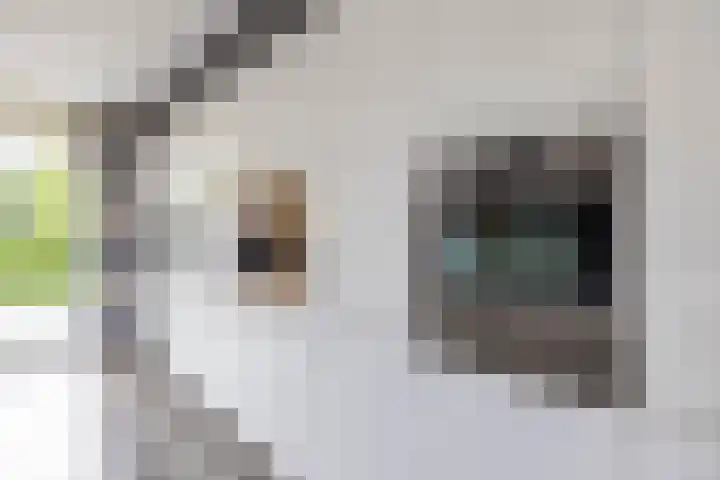 Beswerd 5 Groningen thumbnail 12