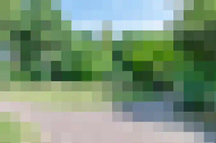 Beswerd 5 Groningen thumbnail 13