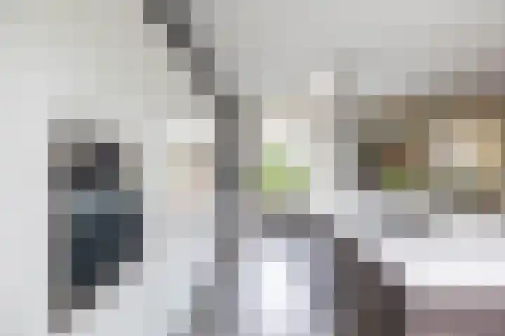 Beswerd 5 Groningen thumbnail 13