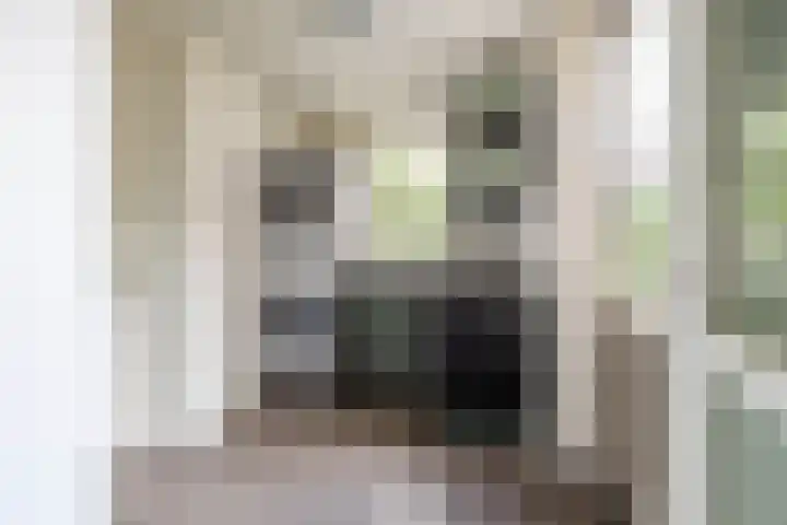 Beswerd 5 Groningen thumbnail 20