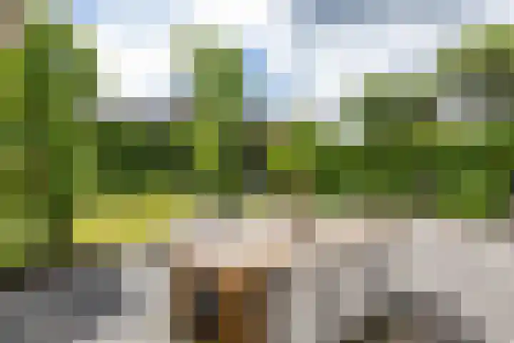 Beswerd 5 Groningen thumbnail 22