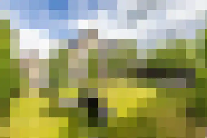 Beswerd 5 Groningen thumbnail 24