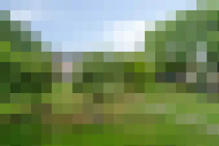 Beswerd 5 Groningen thumbnail 26