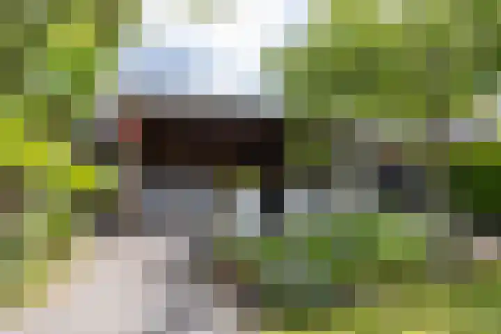 Beswerd 5 Groningen thumbnail 26