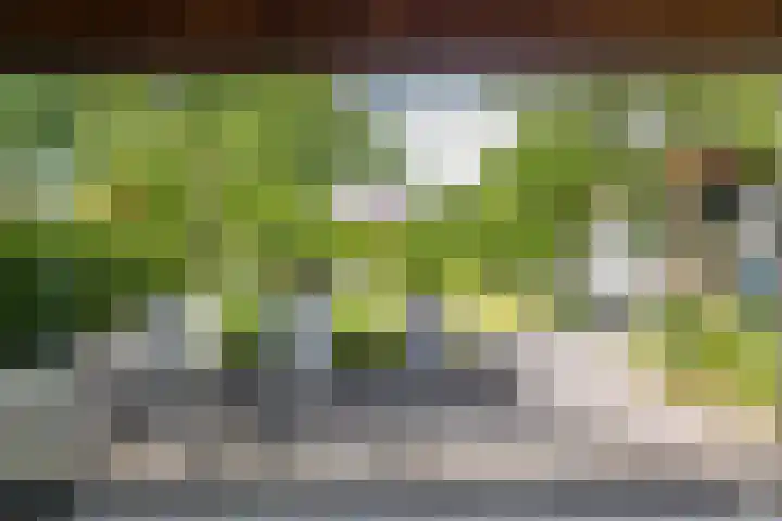 Beswerd 5 Groningen thumbnail 29