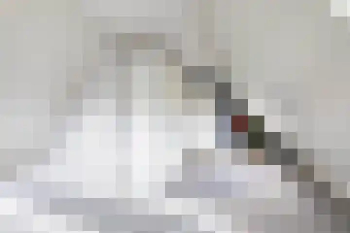 Beswerd 5 Groningen thumbnail 40