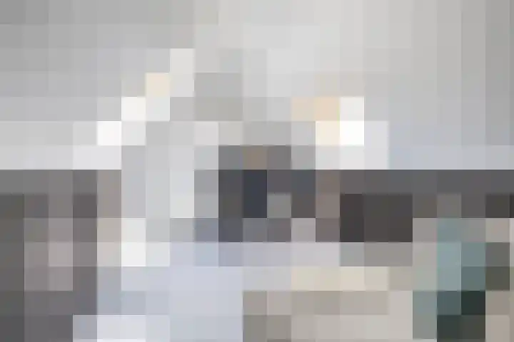 Beswerd 5 Groningen thumbnail 45