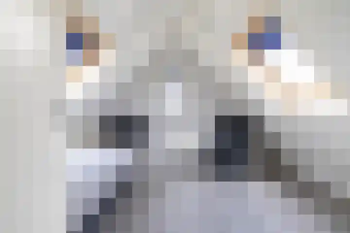 Beswerd 5 Groningen thumbnail 48