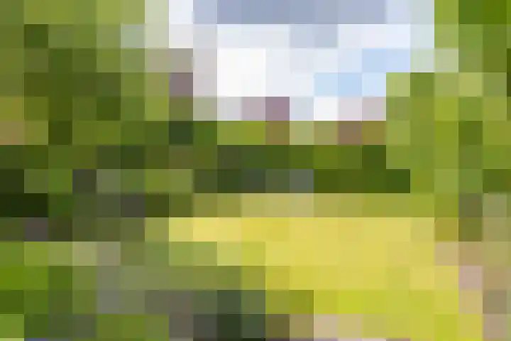 Beswerd 5 Groningen thumbnail 5