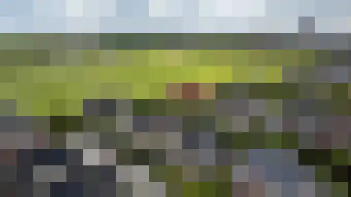 Beswerd 5 Groningen thumbnail 50