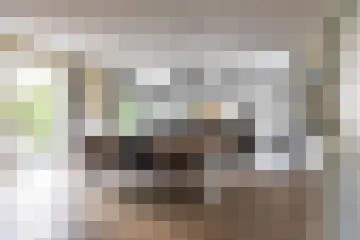 Beswerd 5 Groningen thumbnail 9
