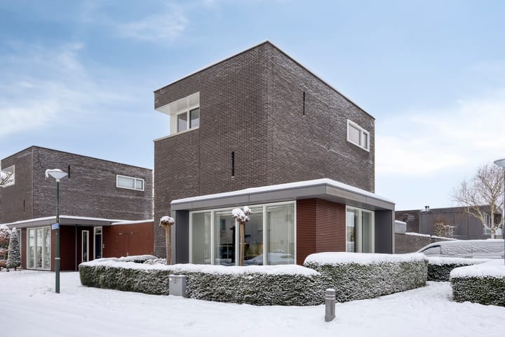 Betelgeuze 2 in Schijndel