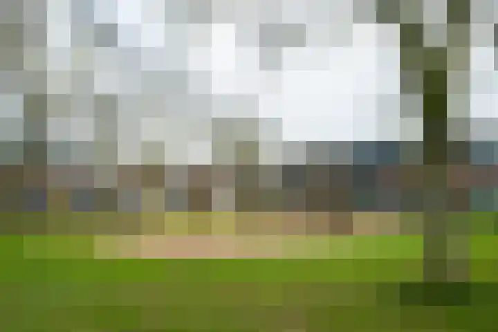 Bethlehemstraat 44 Gaanderen thumbnail 42