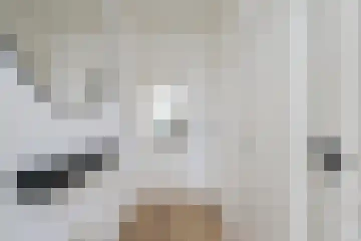 Bethlehemstraat 44 Gaanderen thumbnail 9