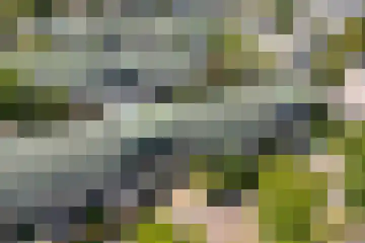 Bette Davisstraat 20 Almere thumbnail 44