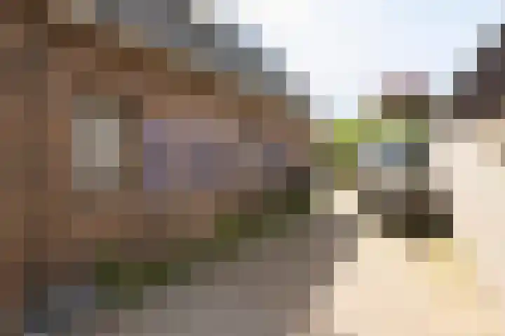 Bettekamp 65 Ede thumbnail 15