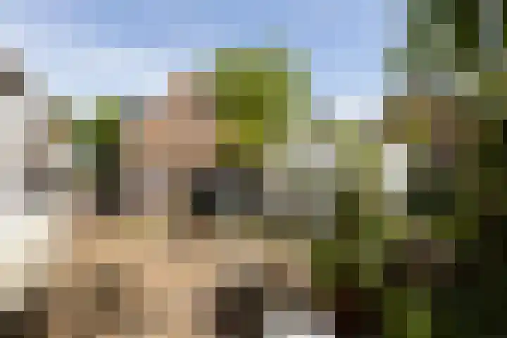 Bettekamp 65 Ede thumbnail 17