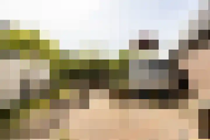 Bettekamp 65 Ede thumbnail 18