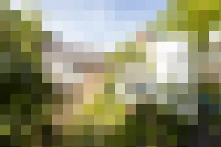 Bettekamp 65 Ede thumbnail 19