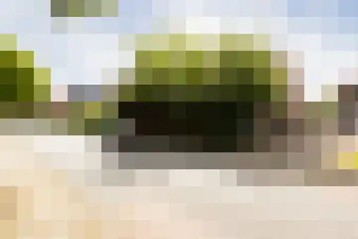 Bettekamp 65 Ede thumbnail 21