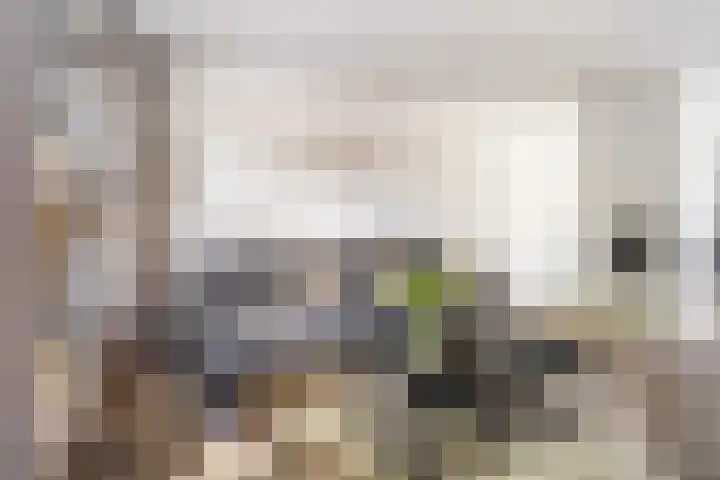 Bettekamp 96 Ede thumbnail 16