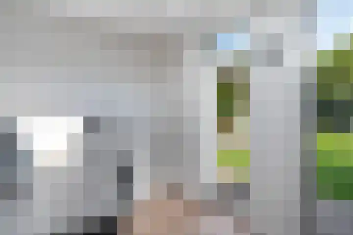 Bettekamp 96 Ede thumbnail 18