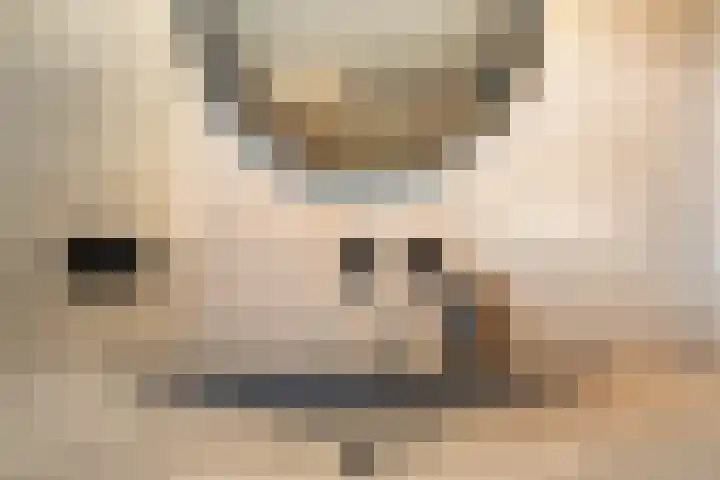 Bettekamp 96 Ede thumbnail 33