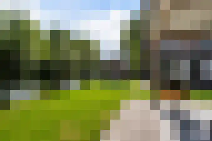 Bettekamp 96 Ede thumbnail 46