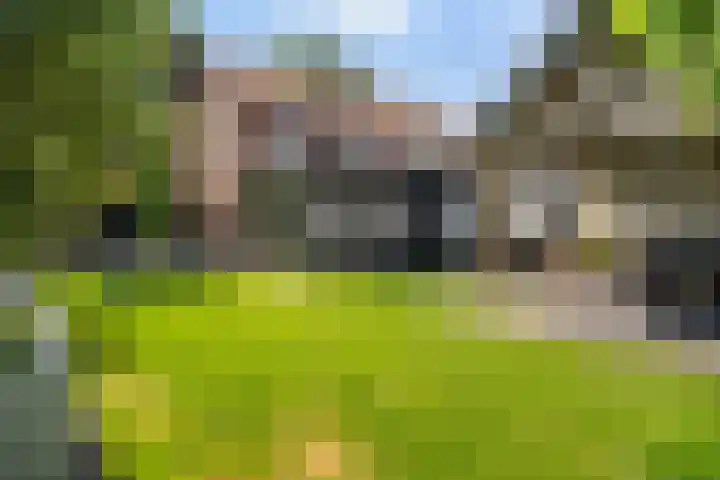 Bettekamp 96 Ede thumbnail 47