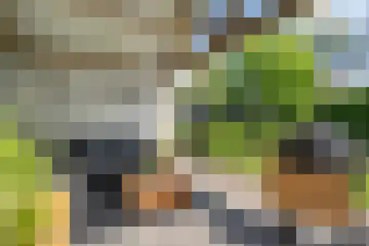 Bettekamp 96 Ede thumbnail 50