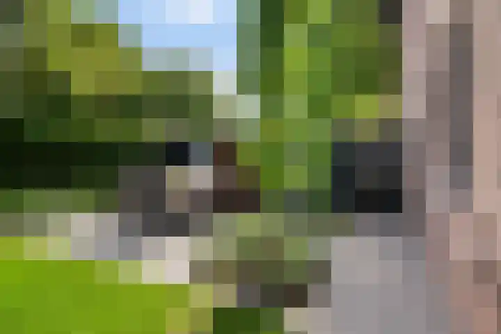 Bettekamp 96 Ede thumbnail 56