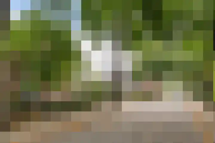 Bettekamp 96 Ede thumbnail 61