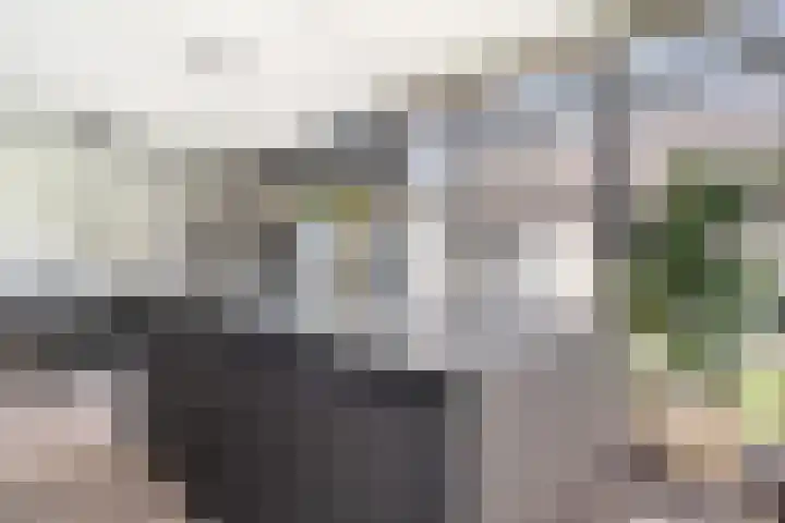 Bettekamp 96 Ede thumbnail 8