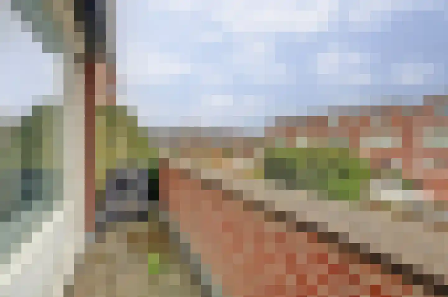 Beuckelaar 17 Monster thumbnail 18