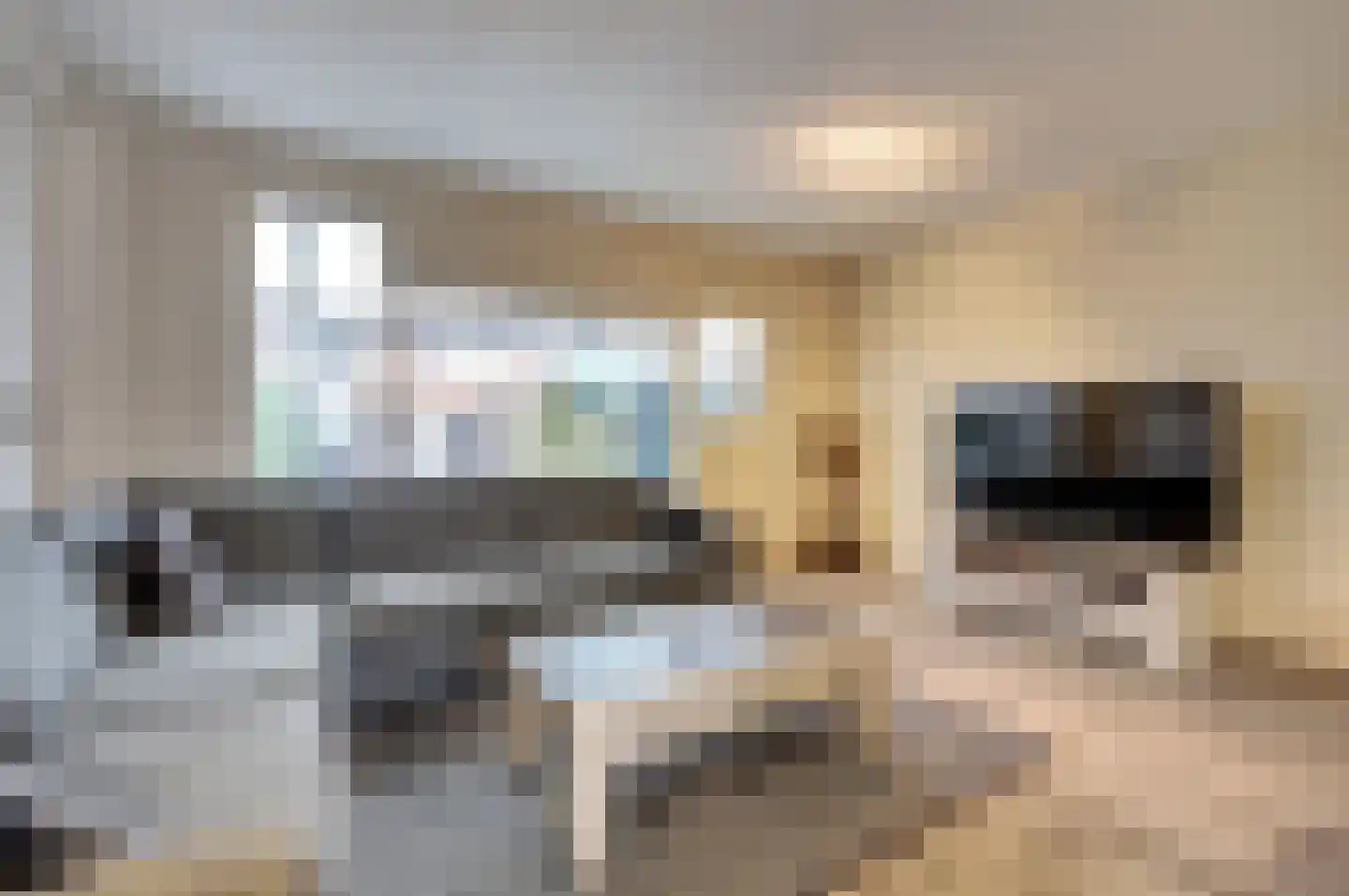 Beuckelaar 17 Monster thumbnail 5