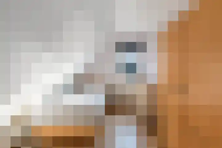 Beugel 27 Drachten thumbnail 22