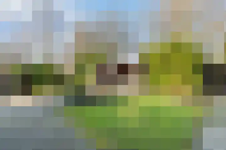Beugel 27 Drachten thumbnail 37
