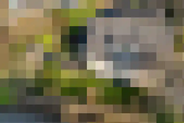 Beugel 27 Drachten thumbnail 38